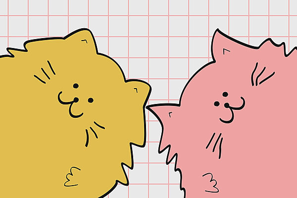 Gelbe und rosa Katze Gelbe und rosa Katze