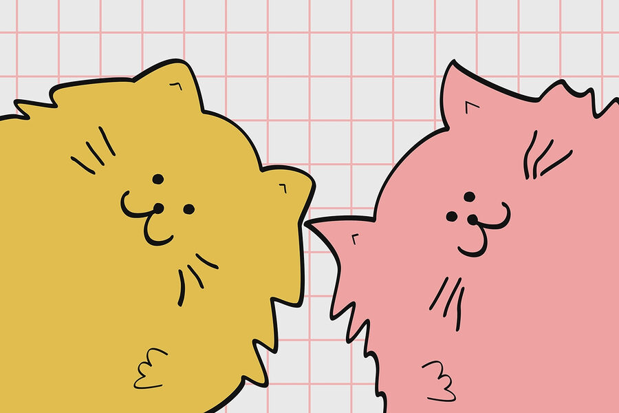 Gelbe und rosa Katze