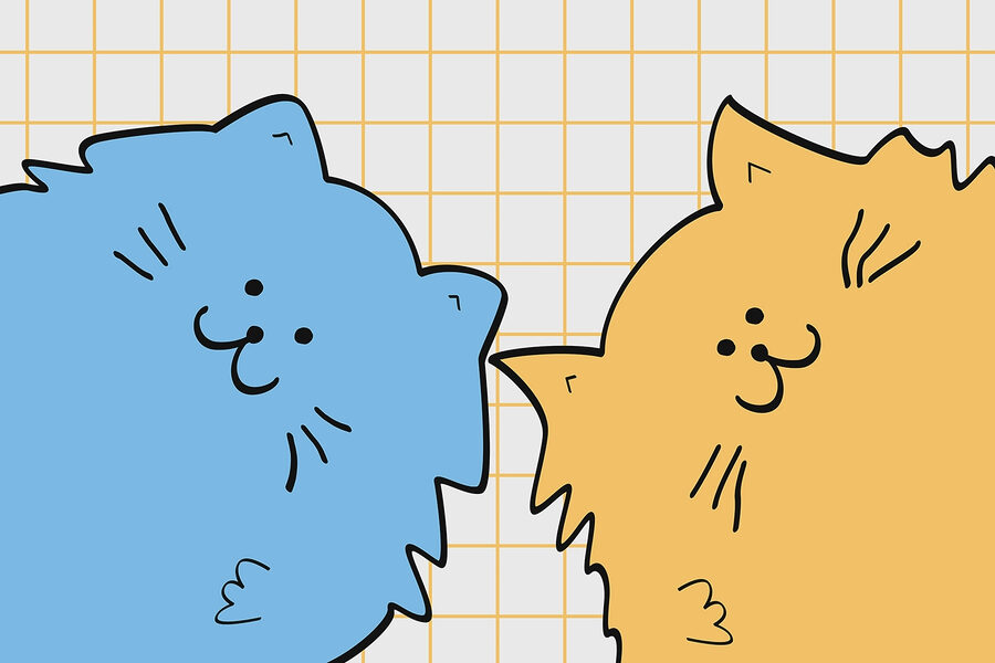 Blaue und gelbe Katze