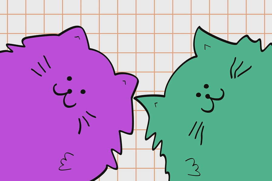 Lila und grüne Katze