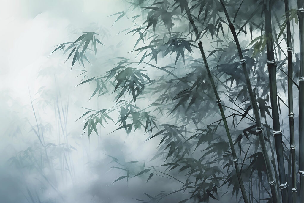 Bambusbäume im Nebel Bambusbäume im Nebel