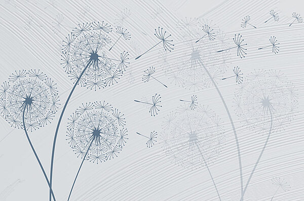 Nahaufnahme einer Blume Nahaufnahme einer Blume