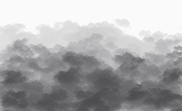 Black and white image of clouds