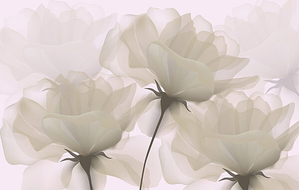 Gruppe von weißen Blumen Gruppe von weißen Blumen