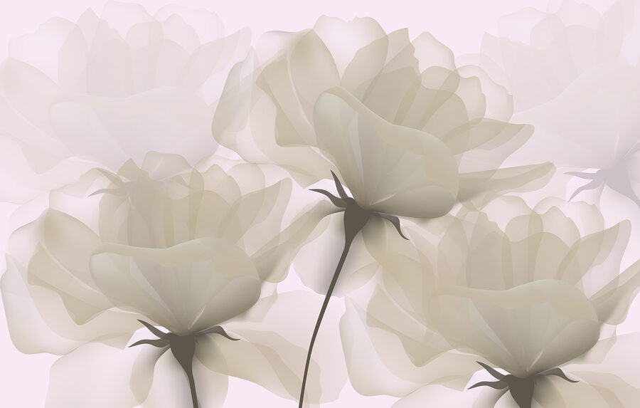 Gruppe von weißen Blumen