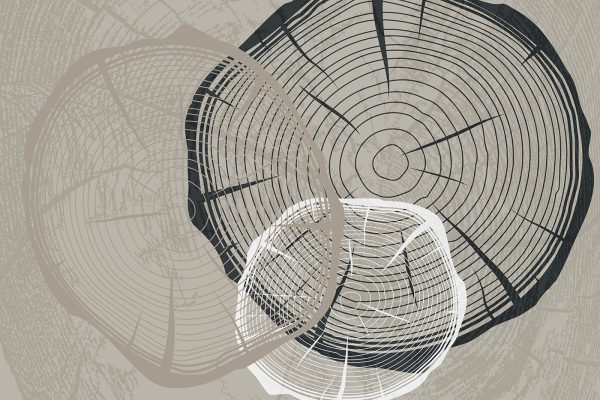 Abstrakte Formen konvergieren im Chaos Abstrakte Formen konvergieren im Chaos