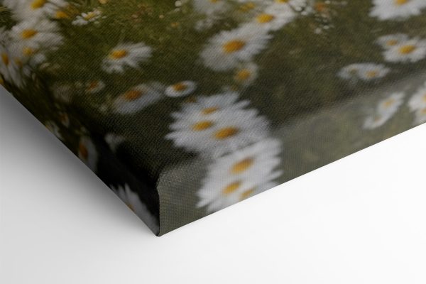 Bär in einem Blumenfeld sitzend Bär in einem Blumenfeld sitzend
