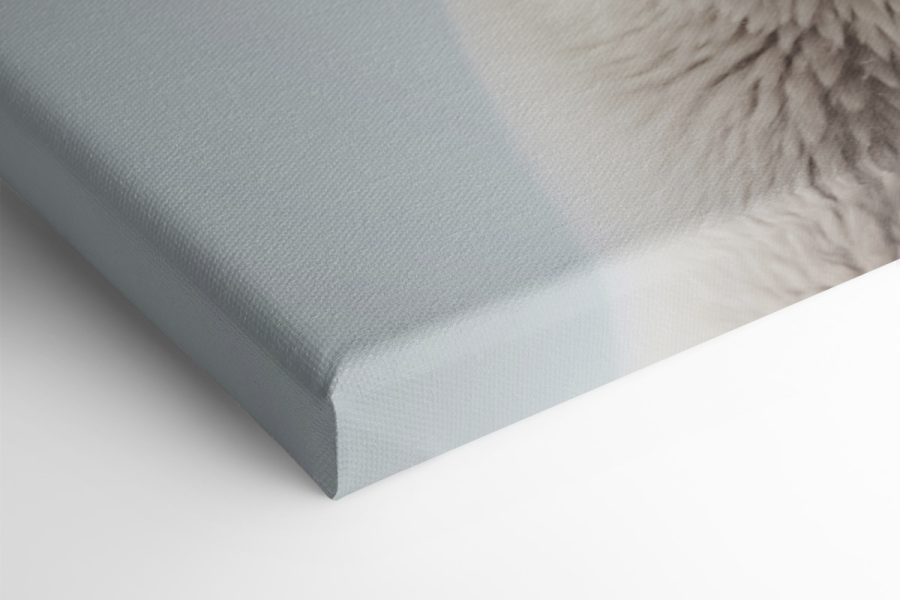 Eisbär schaut in die Kamera