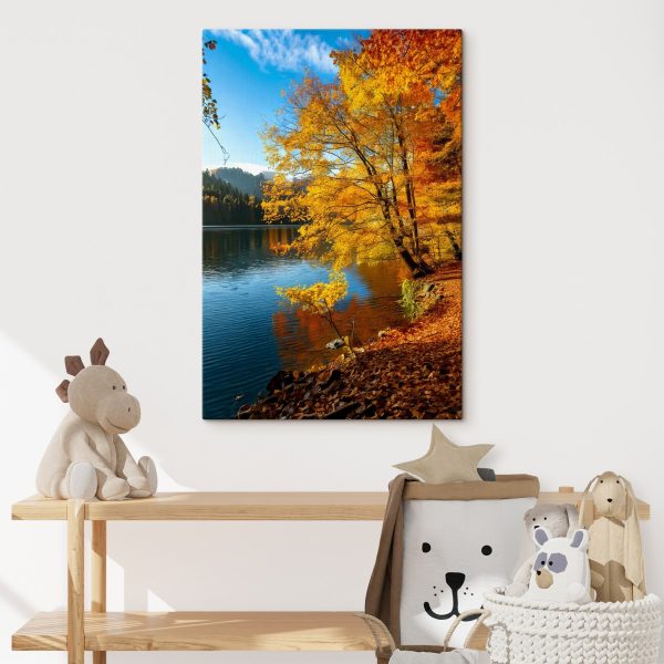 See mit Bäumen und Blättern auf dem Boden See mit Bäumen und Blättern auf dem Boden
