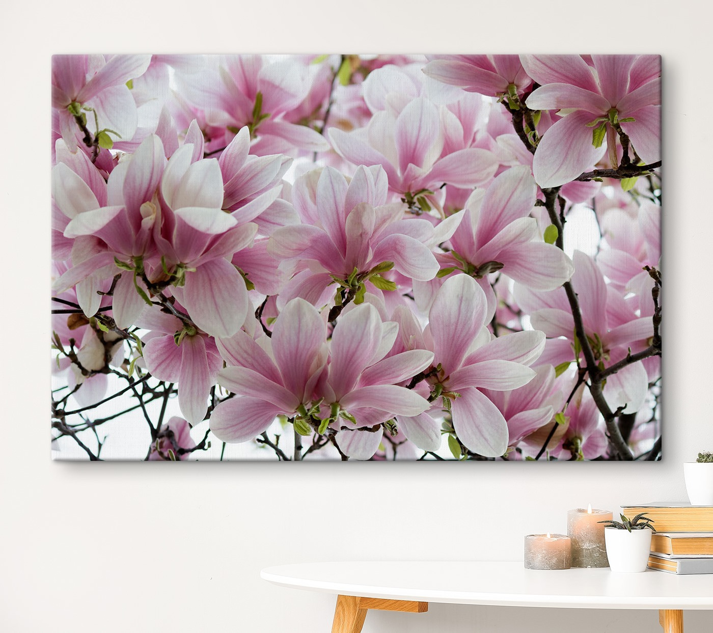 Group of pink flowers Group of pink flowers