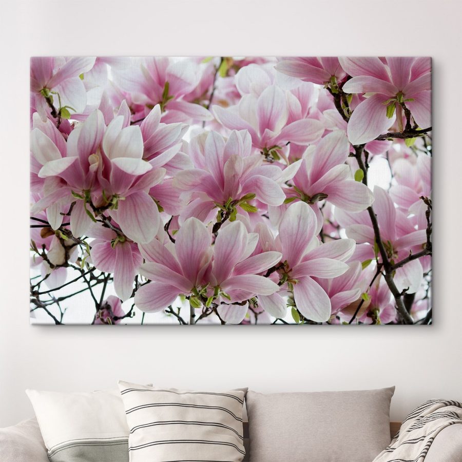 Gruppe von rosa Blumen
