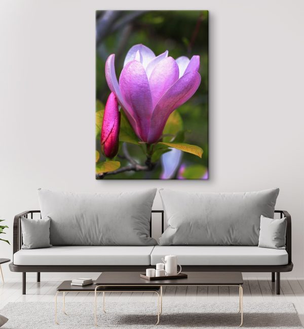Die Magnolie: Die anmutige Blüte der Natur’ Die Magnolie: Die anmutige Blüte der Natur’