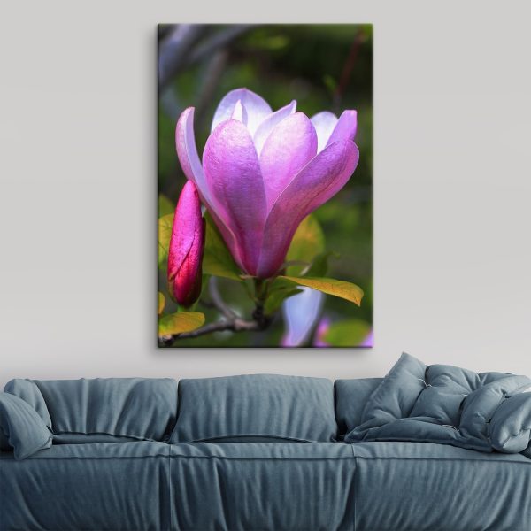 Die Magnolie: Die anmutige Blüte der Natur’ Die Magnolie: Die anmutige Blüte der Natur’