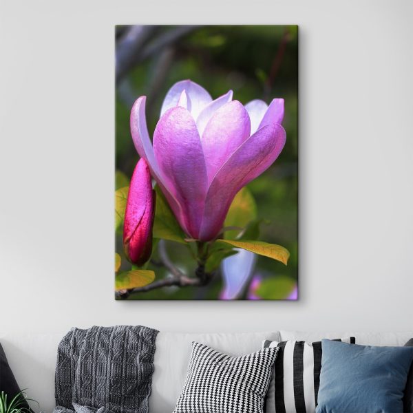 Die Magnolie: Die anmutige Blüte der Natur’ Die Magnolie: Die anmutige Blüte der Natur’