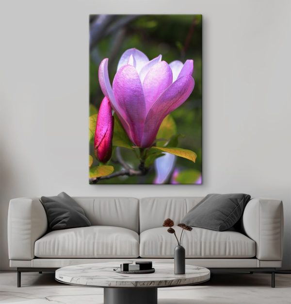 Die Magnolie: Die anmutige Blüte der Natur’ Die Magnolie: Die anmutige Blüte der Natur’