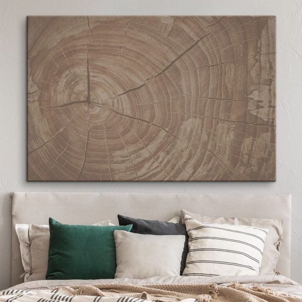 Tree Rings Tell Nature's Story Tree Rings Tell Nature's Story