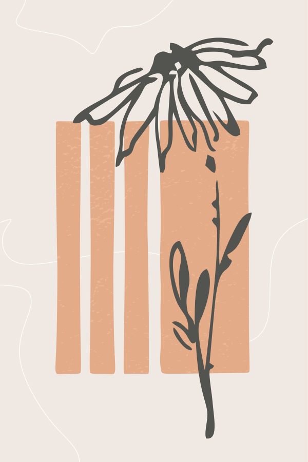Blume und Pflanze Blume und Pflanze
