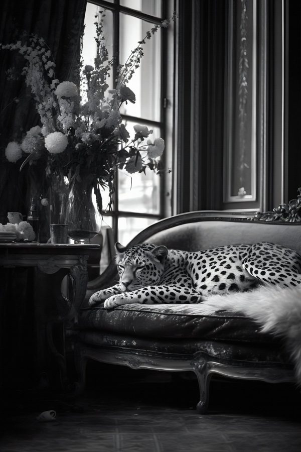 Leopard liegend auf einer Couch Leopard liegend auf einer Couch
