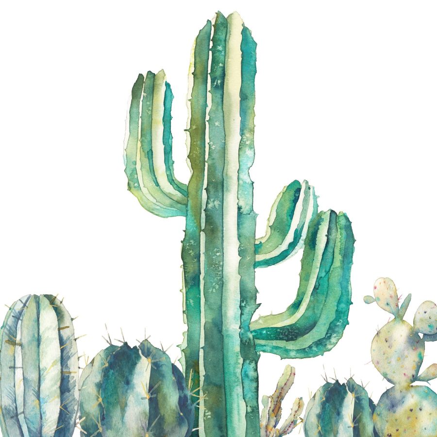 Aquarell eines Kaktus