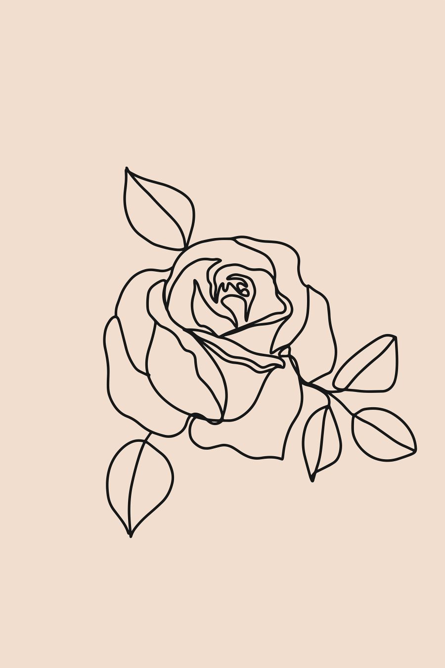 Zeichnung einer Rose