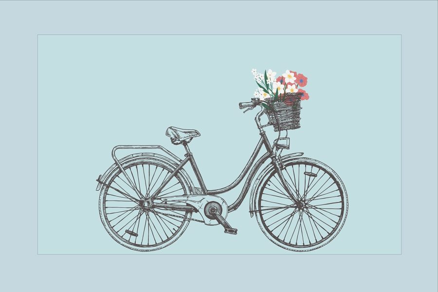 Fahrrad mit Blumen in einem Korb