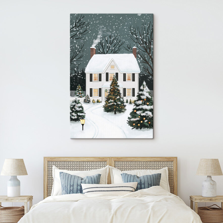 House with trees and snow