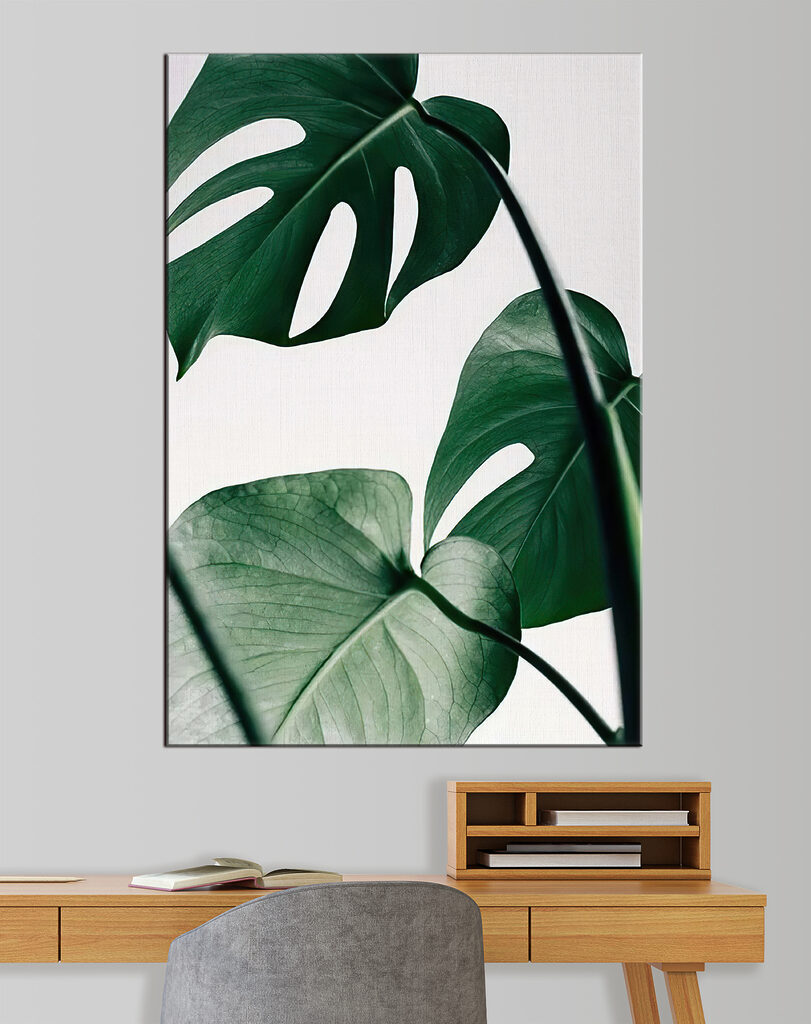 Delicate foliage against white backdrop