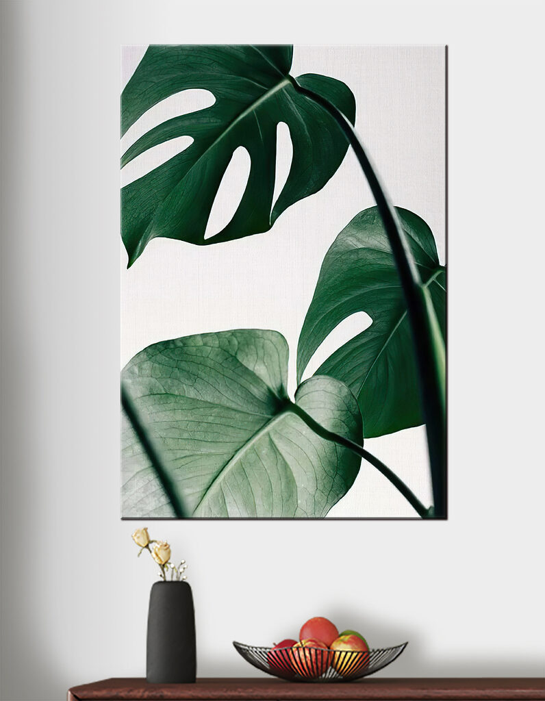 Delicate foliage against white backdrop