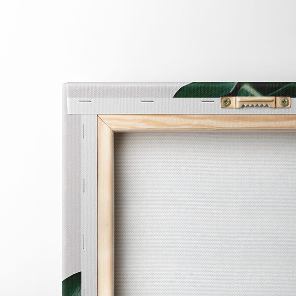 Delicate foliage against white backdrop