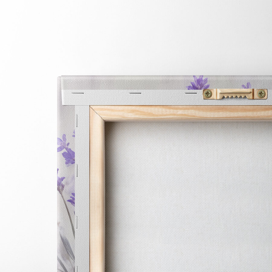 Gruppe violetter Blumen