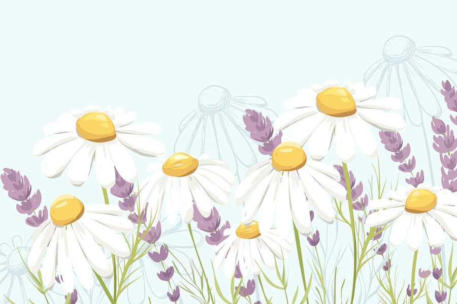 Gruppe von weißen Blumen