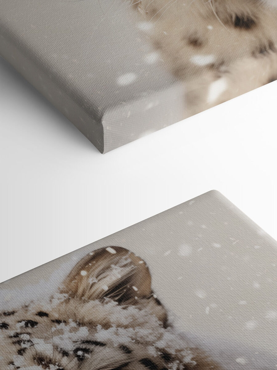 Schneeleopard mit Schnee auf dem Kopf