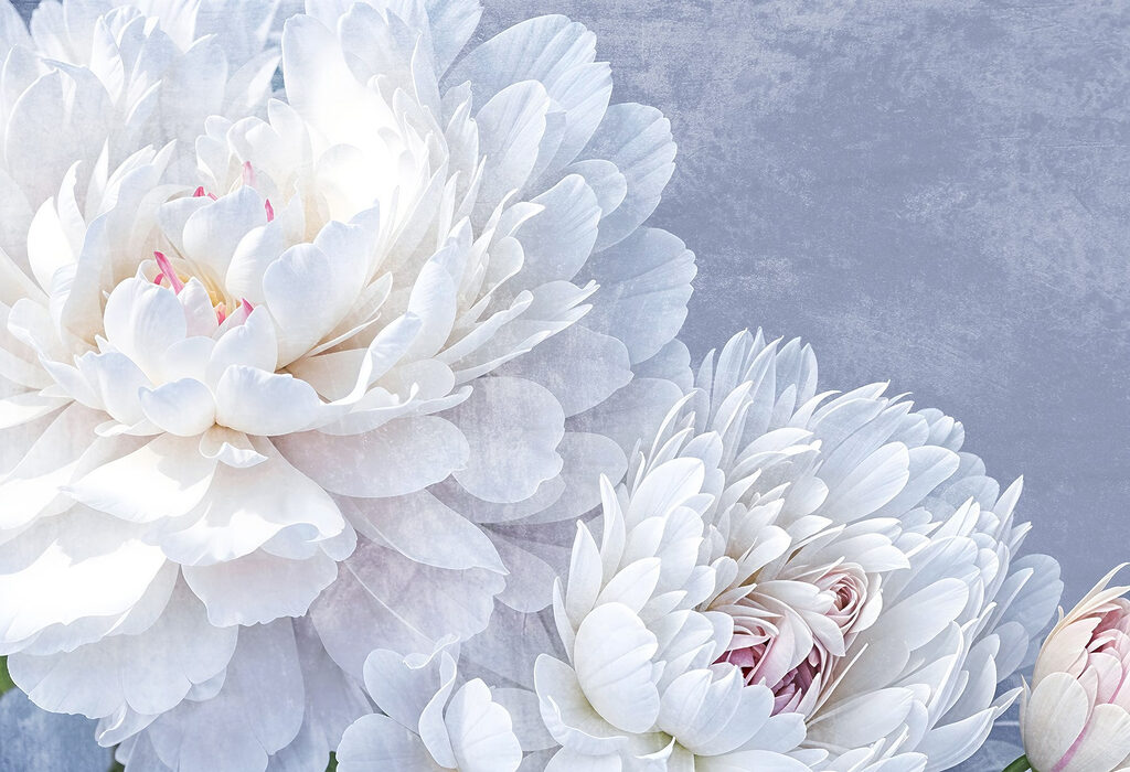 Delicate blooms in soft colors