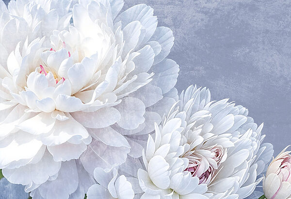 Delicate blooms in soft colors