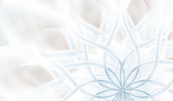 Weiße und blaue Blume Weiße und blaue Blume