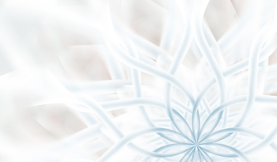 Weiße und blaue Blume
