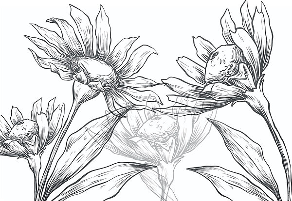 Zeichnung von Blumen mit Blättern Zeichnung von Blumen mit Blättern