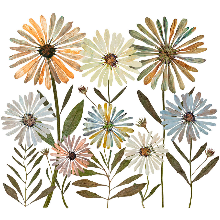 Group of flowers with leaves Group of flowers with leaves