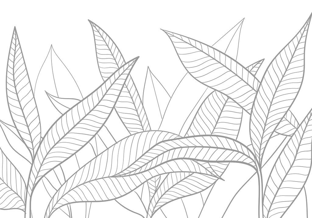 Line drawing of leaves