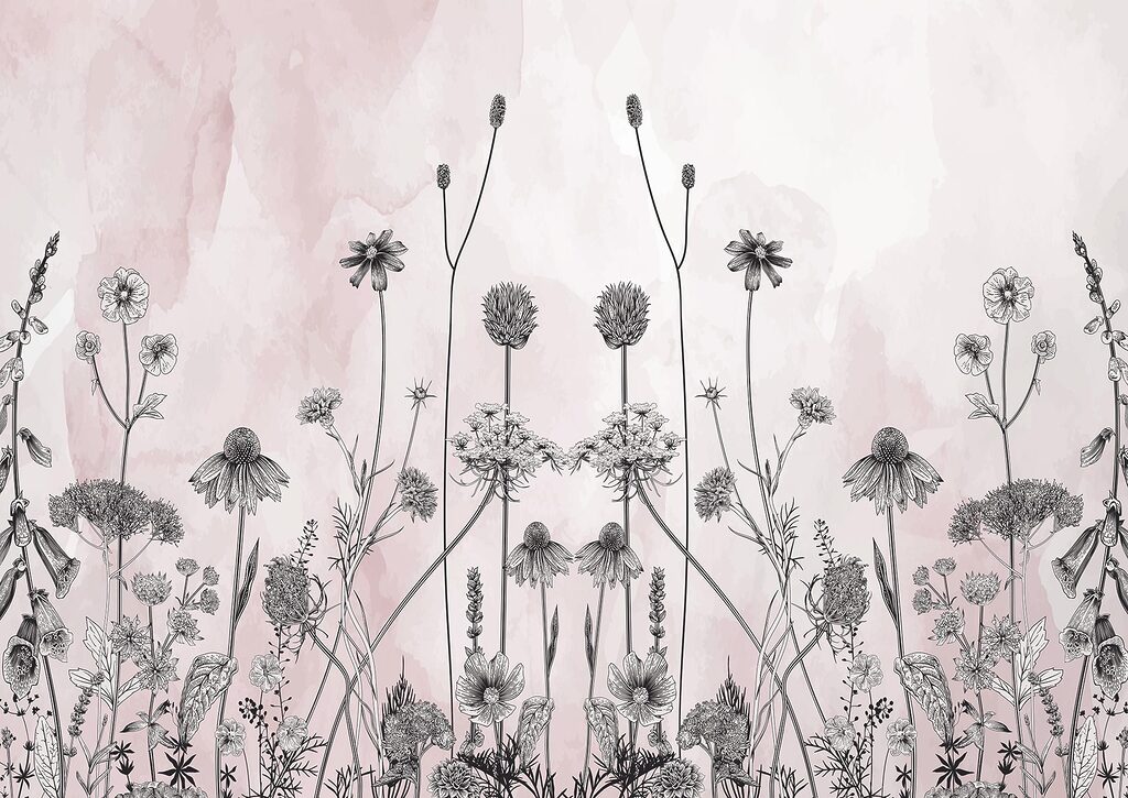 Zeichnung von Blumen und Pflanzen Zeichnung von Blumen und Pflanzen