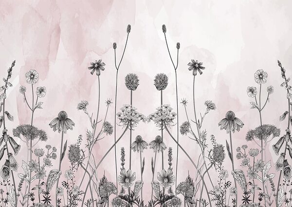 Zeichnung von Blumen und Pflanzen Zeichnung von Blumen und Pflanzen