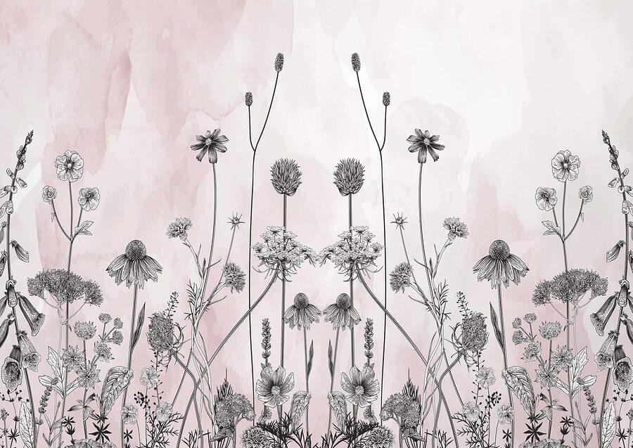 Zeichnung von Blumen und Pflanzen Zeichnung von Blumen und Pflanzen