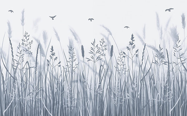 Grasfeld mit fliegenden Vögeln Grasfeld mit fliegenden Vögeln