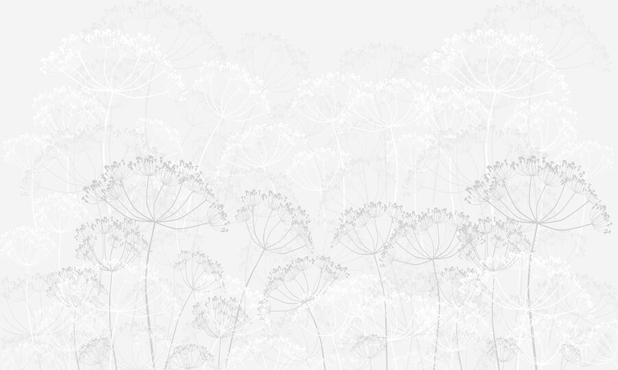 Weißes Blumenmuster Weißes Blumenmuster