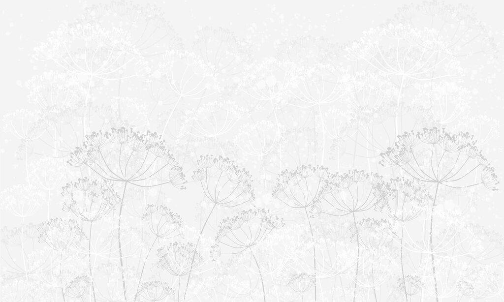 Weißer Hintergrund mit Blumen Weißer Hintergrund mit Blumen