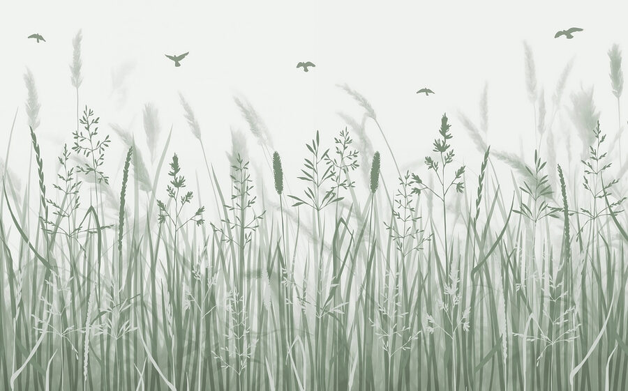 Grasfeld mit fliegenden Vögeln Grasfeld mit fliegenden Vögeln