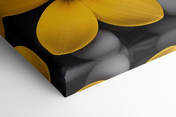 Yellow flowers on a pile of rocks