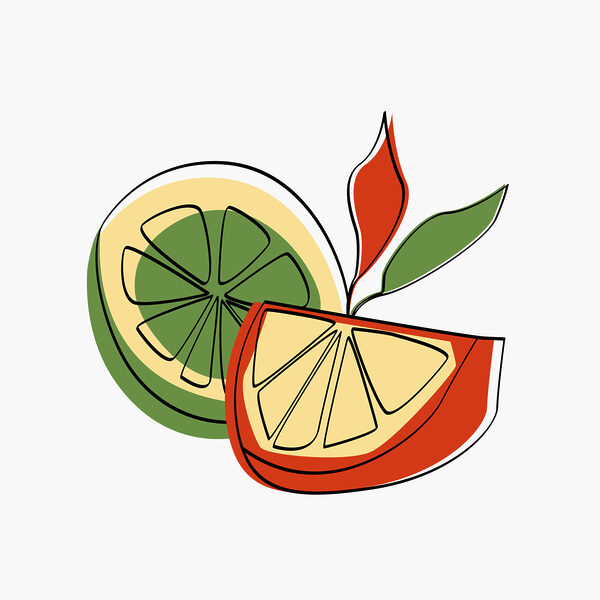 Zeichnung einer Zitrone und einer Orange Zeichnung einer Zitrone und einer Orange