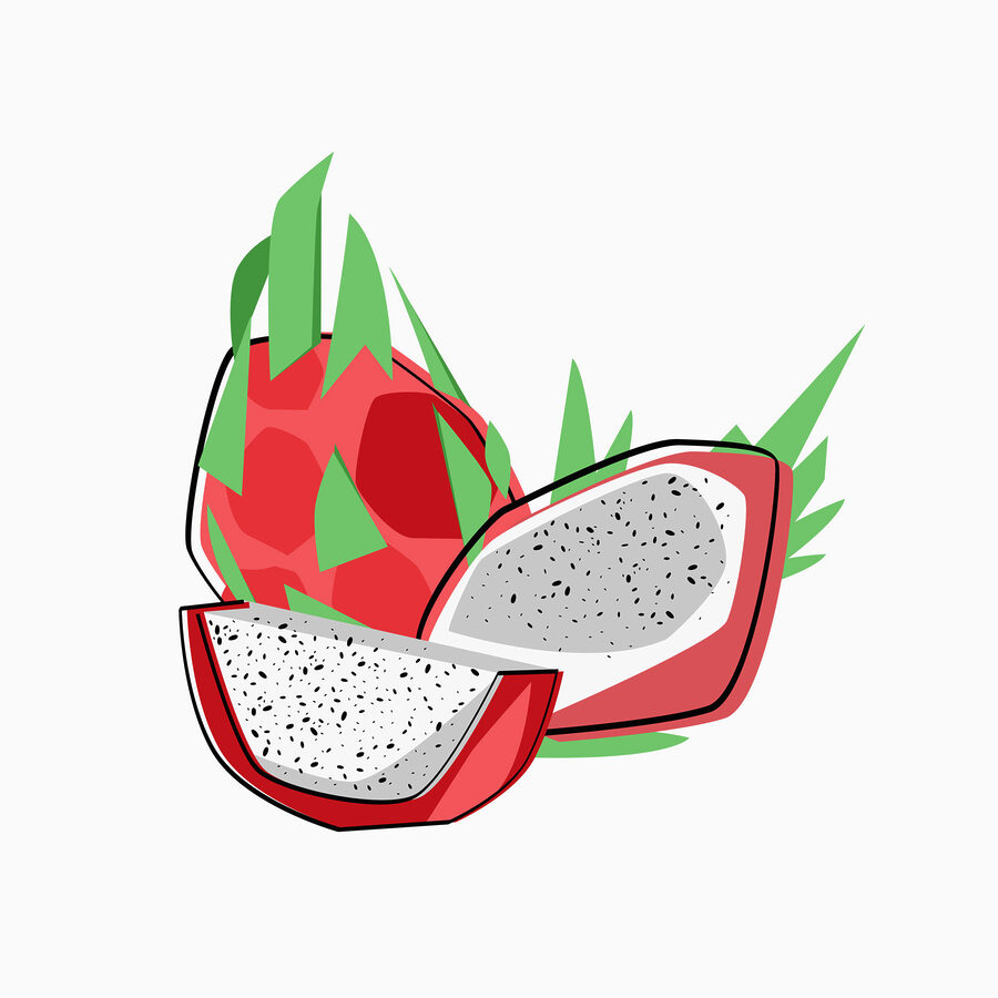 Zeichnung einer Drachenfrucht
