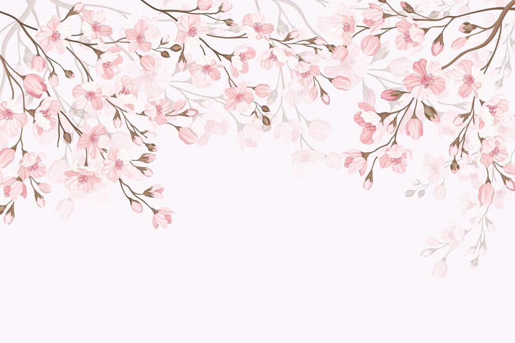 Pink flowers on a white background